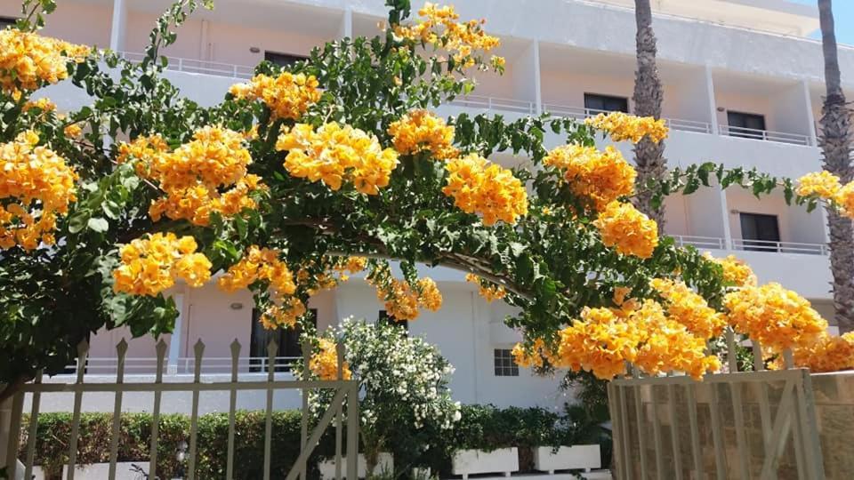 Kardamena Holiday Apartments Exterior photo