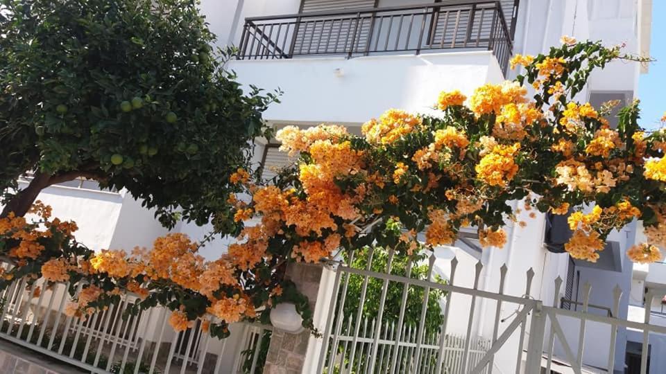 Kardamena Holiday Apartments Exterior photo